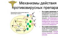 Farmakoloji qrup - Antiviral agentlər
