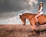 ما هو كتاب حلم الحصان؟  لماذا تحلم بالحصان؟  ماذا يعني: حلمت بحصان.  التفسير الفرويدي