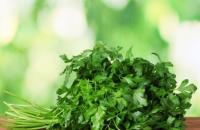 What happens if a girl eats a lot of parsley