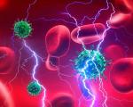 Trombocitų patologija Po kurio laiko trombocitų padaugėja sergant ŽIV