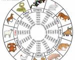 Horoscope for those born in the year of the Rooster
