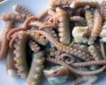 Gatimi i oktapodëve të vegjël: sekretet e kuzhinierëve më të mirë