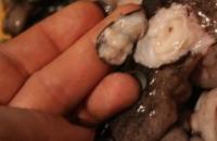 Готвене на пържен октопод, проста рецепта със снимки