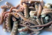 Готвене на малки октоподи: тайните на най-добрите готвачи